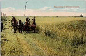 Harvesting in Western Canada Farming Agriculture Horses Farm Life Postcard H60