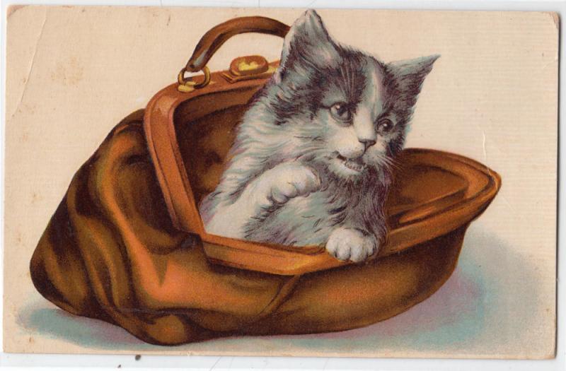 Cat in a Purse