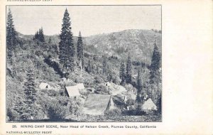 Nelson Creek California Mining Camp  Vintage Postcard AA24396