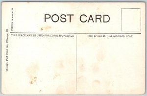 Decatur Illinois c1910 Postcard Sangamon River