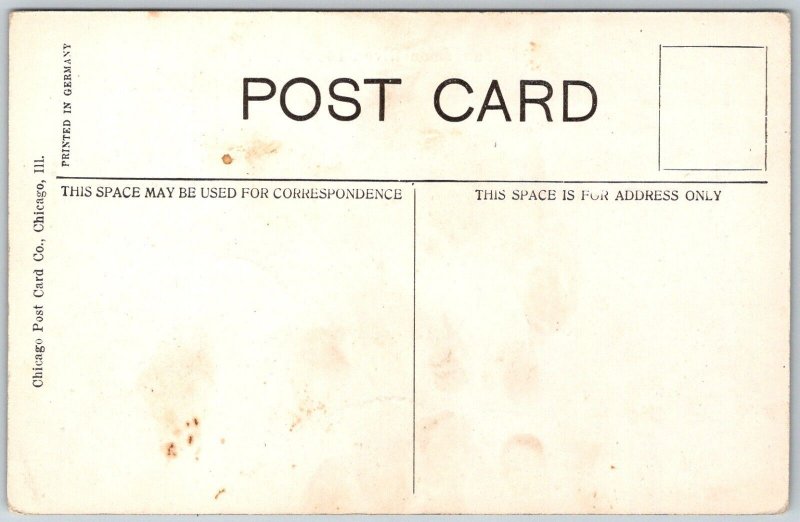 Decatur Illinois c1910 Postcard Sangamon River