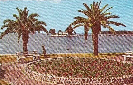 Florida Palmetto The Beautiful Waterfront Park at The Foot Of Green Bridge