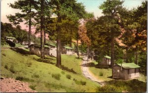 Hand Colored Postcard Los Angeles County Big Pines Recreation Camp California