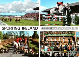 Horses Sporting Ireland