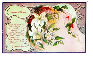 Language of Flowers Woman's World Poem, Greeting Postcard, Used Nova Scotia