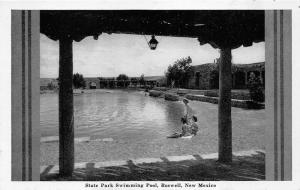 Roswell New Mexico~State Park Swimming Pool~Bathing Beauties on Beach~1940s Pc