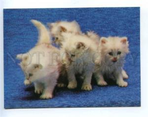 218672 JAPAN cats kittens old 3-D postcard