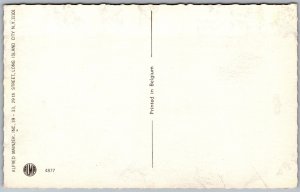 Vtg Mainzer 4877 Dressed Cats Crossing Guard Ducks Anthropomorphic Postcard