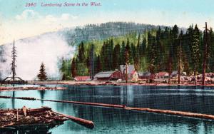 Vintage Postcard, Logging Lumbering Scene in the West Postmarked 1912 C16