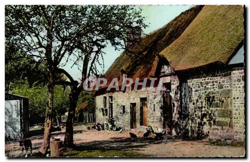 Normandy Modern Postcard Farmyard