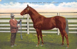 Lexington, KY, USA Man O War Horse Racing Unused 