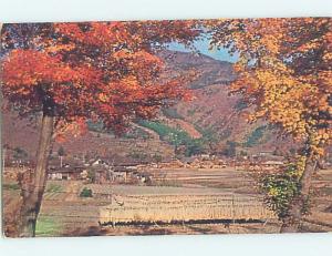 Pre-1980 HARVESTED RICE FIELD Lake Kawaguchi Japan G9655