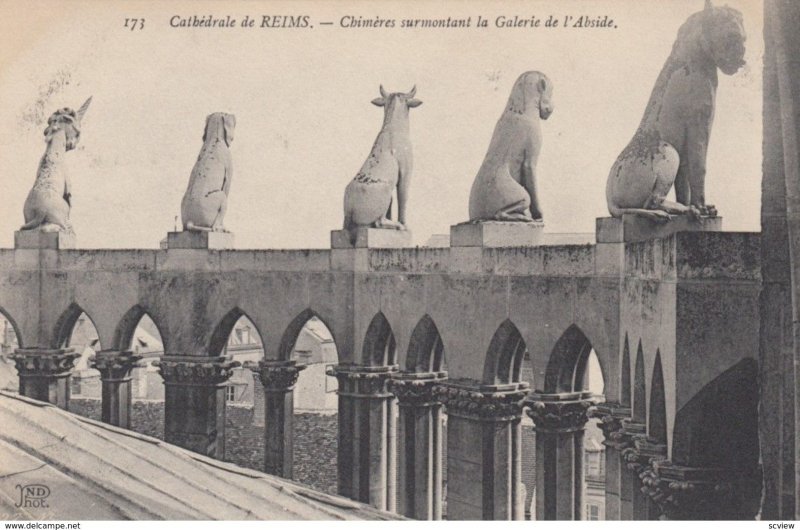 REIMS , France , 1900-10s ; Cathedral ; Gargoyles #2