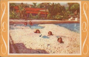 Beautiful Women in Hotel Swimming Pool w Flowers, 1945, Veracruz Mexico, Deco