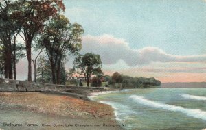 Postcard Shelburne Farms Lack Champlain Burlington Vermont