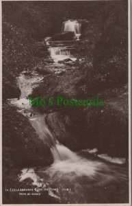 Sussex Postcard - Hastings, In Ecclesbourne Glen  RS33956