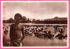 af9173 - SOMALIA - VINTAGE POSTCARD - ETHNIC-