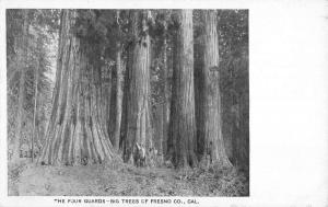 Fresno California Big Trees Four Guards Antique Postcard K63516