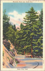 USA Mountain Road Santa Cruz California Linen Postcard 04.40