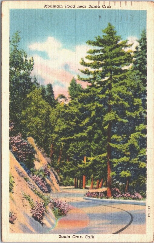 USA Mountain Road Santa Cruz California Linen Postcard 04.40