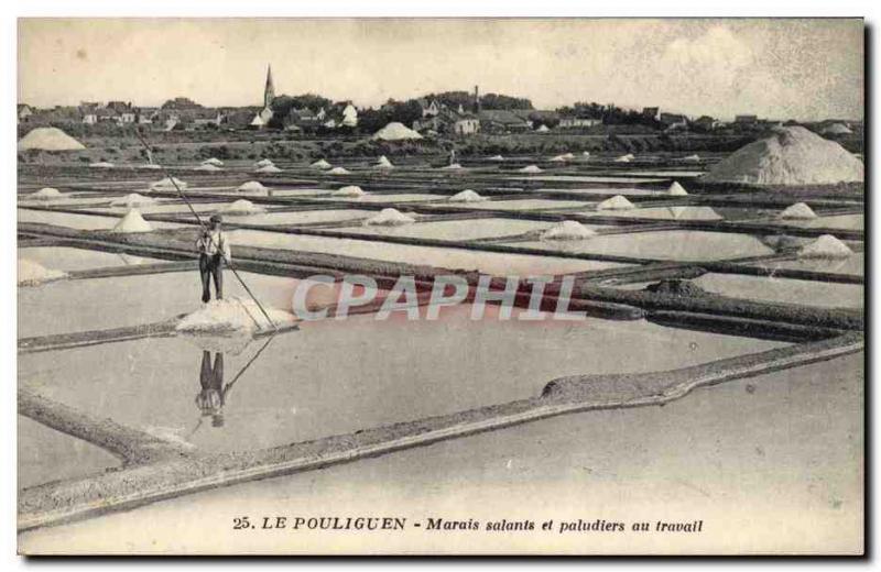 Old Postcard Folklore salt marshes and marsh at work Pouliguen