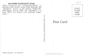 Bluebird Passenger Train Unused 