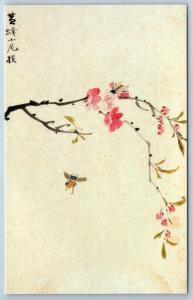 Chinese ART Bird & Flowers 花卉 鸟儿 齊白石 CHINA Post Cards in Folder LOT of 10 pcs