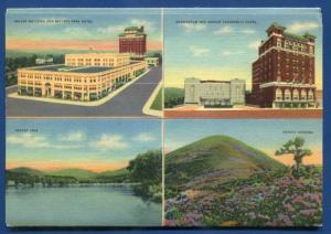 Asheville North Carolina nc Country Club Court House Haywood St postcard folder