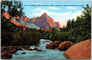 The Watchman Zion National Park Showing Makuntuweap River Springdale UT Postcard