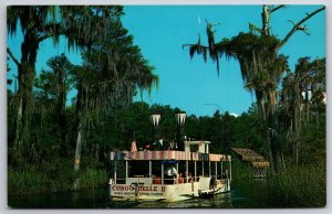 Florida~The Congo Belle Glass Bottom Adventure Cruise River Boat~Vintage PC