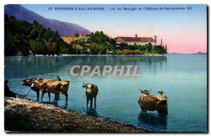 ThE Aix Bains - Lake Bourget and & # 39Abbaye Hautecombe - cow Old Postcard