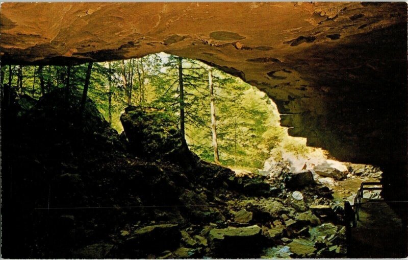Carter Caves State Park Olive Hill Kentucky KY Cascade Cave CH Ruth Postcard Vtg 
