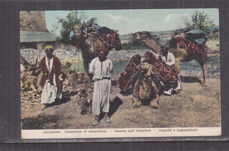 PALESTINE, ISRAEL, JERUSALEM, CAMELS & CAMELEERS, c1910 ppc., unused.