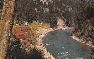 Gallatin River - Butte, Montana