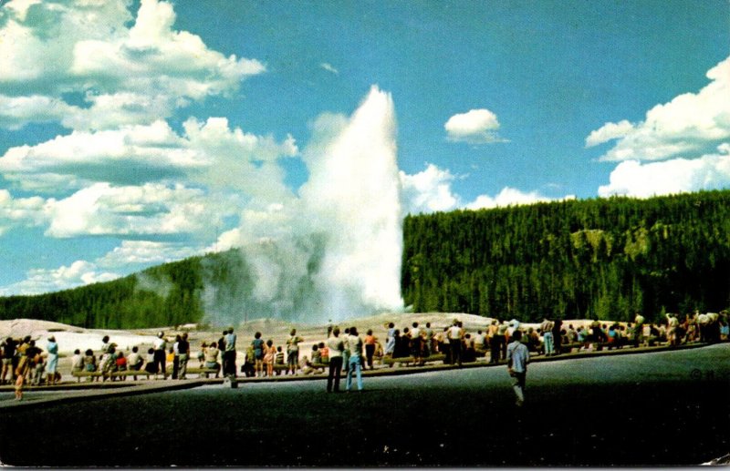 Yellowstone National Park Upper Geyser Basin Old Faithful Geyser