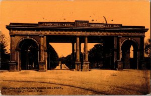 Madison Ave Entrance to Druid Hill Park Baltimore MD c1909 Vintage Postcard D34