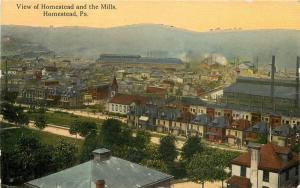 Birdseye C-1910 Homestead Pennsylvania View Mills Robbins Son postcard 2486
