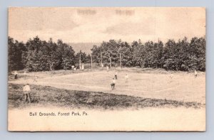 BALL GROUNDS FOREST PARK PENNSYLVANIA BASEBALL ROTOGRAPH POSTCARD 1908