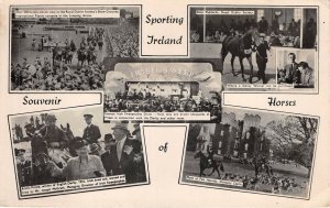 Lot221 sporting ireland irish sweep horse riding sport park royal dublin dunsany