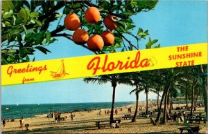 Florida Greetings From The Sunshine State Split View 1984