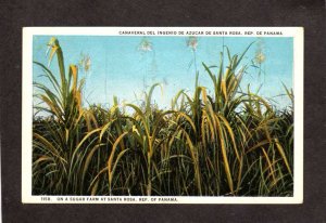 Rep PANAMA Sugar Farm Cane Farming Santa Rosa Carte Postale Hazienda Postcard