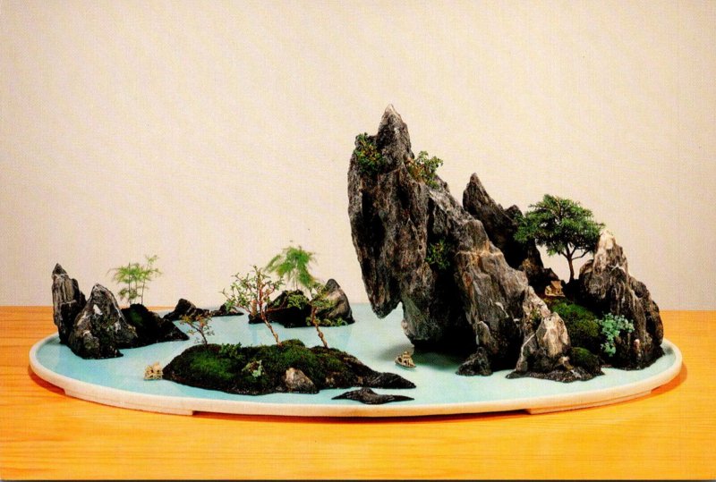 Washington Tacoma Pacific Rim Bonsai Collection Chinese Rock Penjing Bonsai Tree