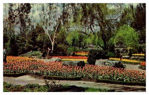 Postcard GARDEN SCENE Hamilton Ontario ON AU3305
