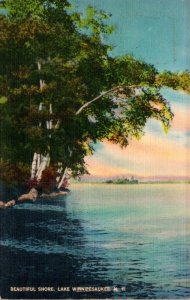 New Hampshire Lake Winnipesaukee Beautiful Shore 1940