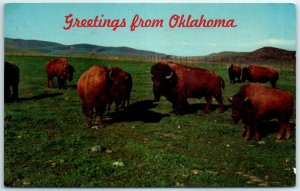 M-3317 Greeting from Oklahoma