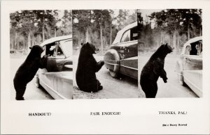 Black Bear and Auto Canadian Rockies Harry Rowed Unused RPPC Postcard G15