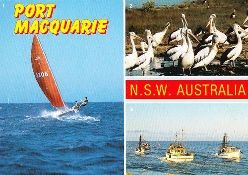 Port Macquarie New South Wales Boat Ship Wildlife Birds Photo Australia Postcard