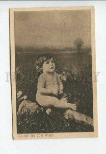 3176835 NUDE Baby Boy in Garden ANGEL Vintage Postcard