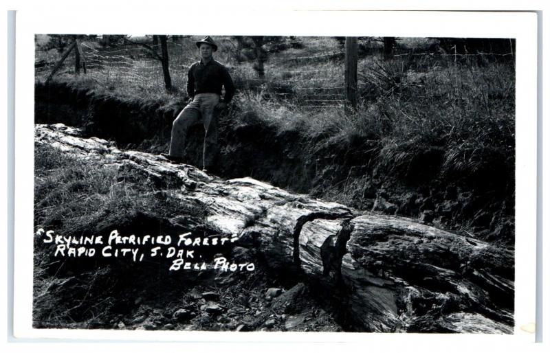 RPPC Skyline Petrified Forest, Rapid City, SD Postcard