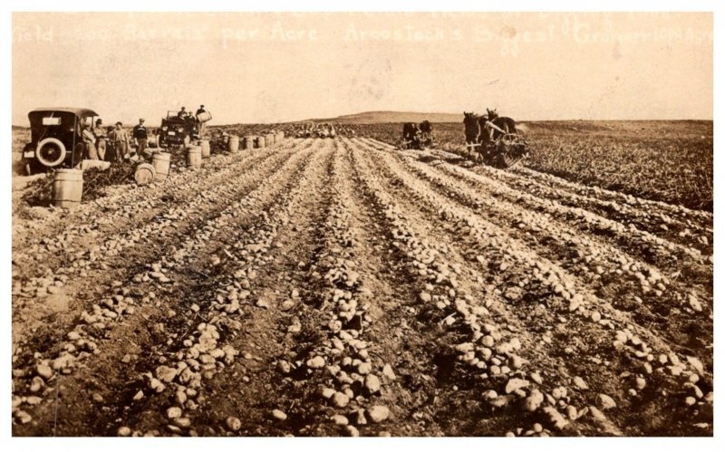 Maine Potatoe Farm , Harvesting  RPC ,